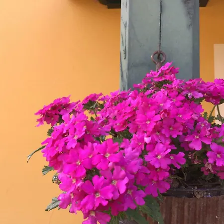 Apartamento Camangu C * Camango